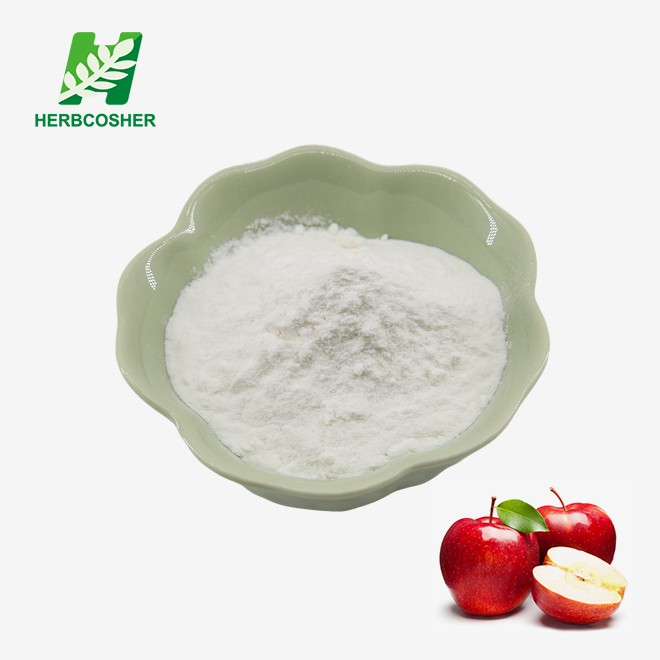 Apple Cider Vinegar Powder Bulk